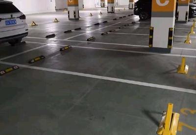 郫都區(qū)某小區(qū)車位“只賣不租”引爭議，停車場服務(wù)與業(yè)主權(quán)益如何平衡？